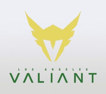 Overwatch Los Angeles Valiant fires all team and staff