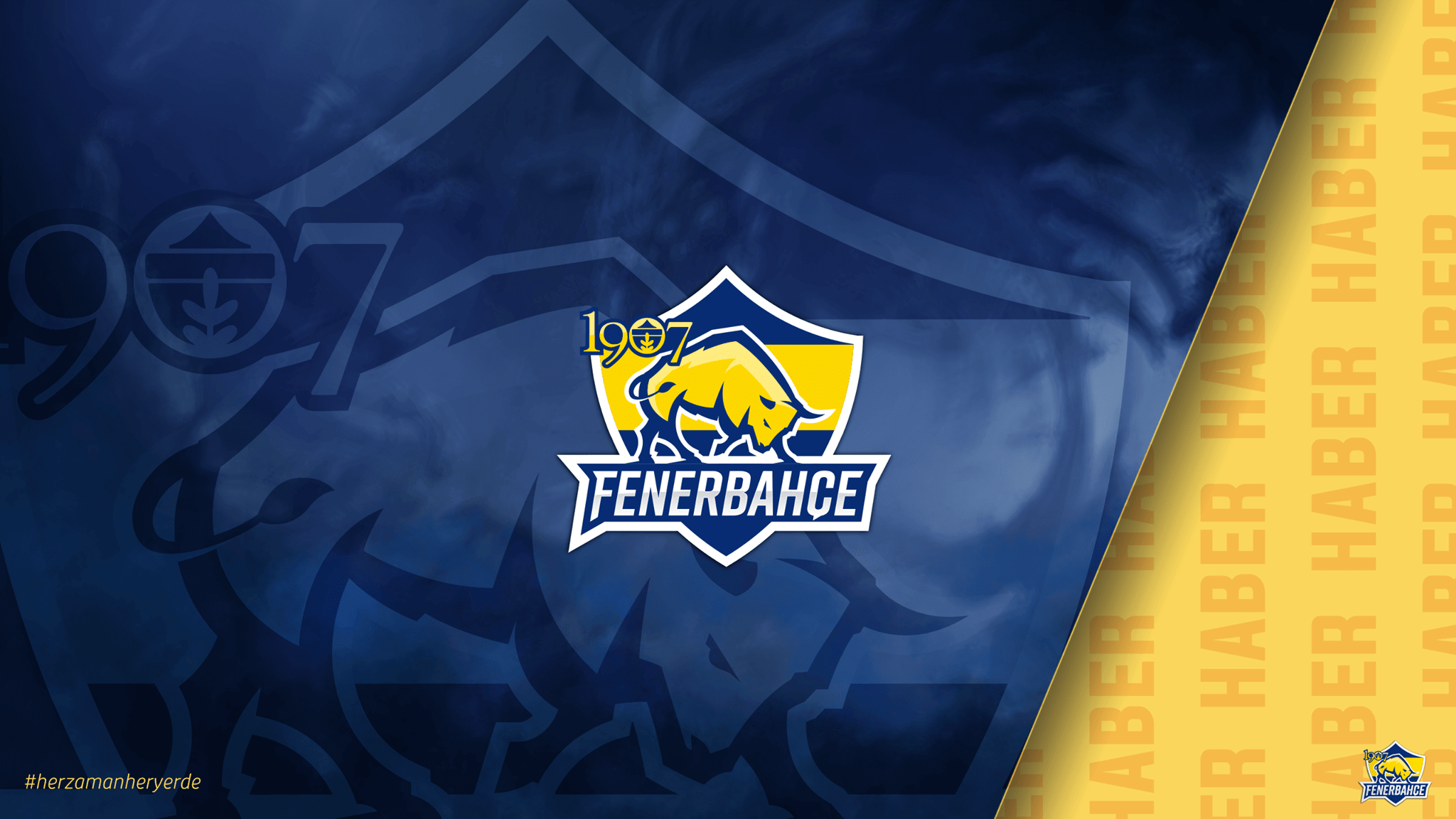 Valorant Fenerbahce
