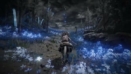 Shadow of the Erdtree Map Fragments