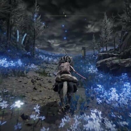 Shadow of the Erdtree Map Fragments