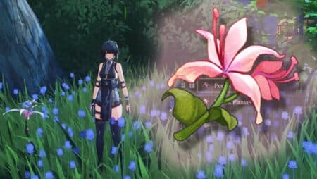 Wuthering Waves Pecok Flower Locations