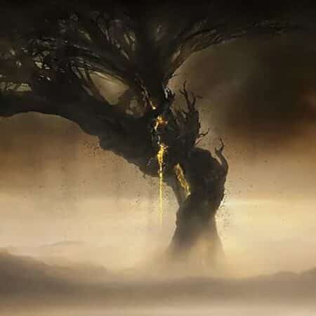 Elden Ring Rock Heart Guide Dragon Transformation
