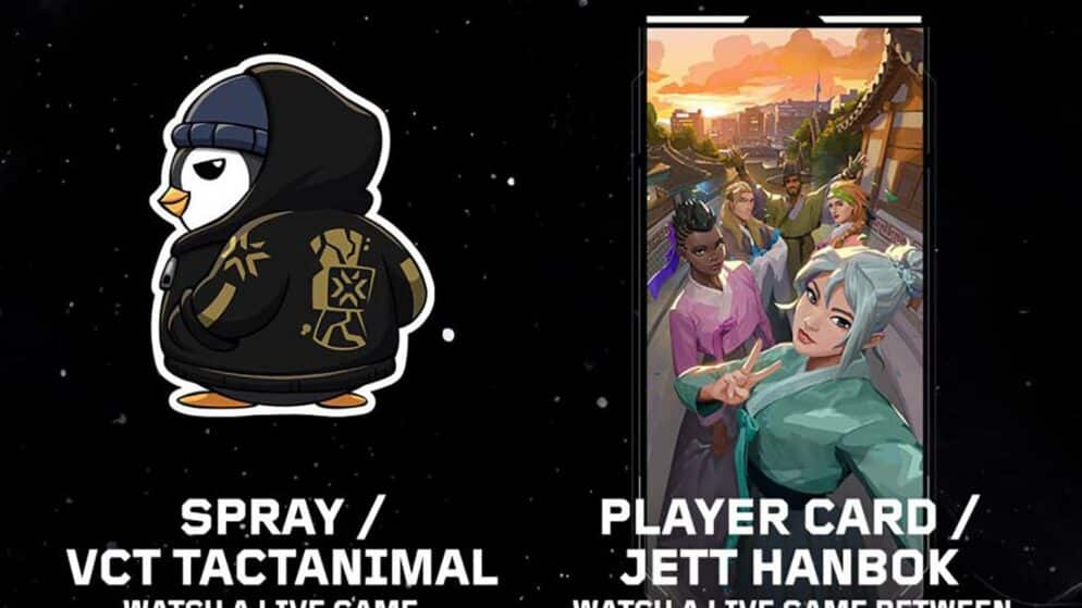 VCT Champs 2024 Twitch Drops