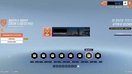 Overwatch 2: How to Get Kitten of Discord Title