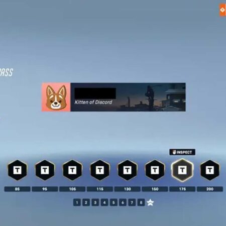 Overwatch 2: How to Get Kitten of Discord Title