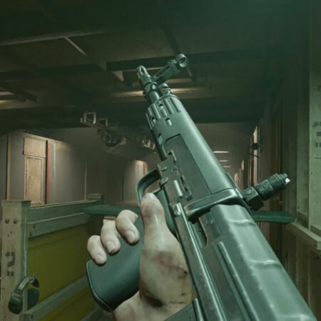 Black Ops 6: Best Tsarkov 762 Loadout