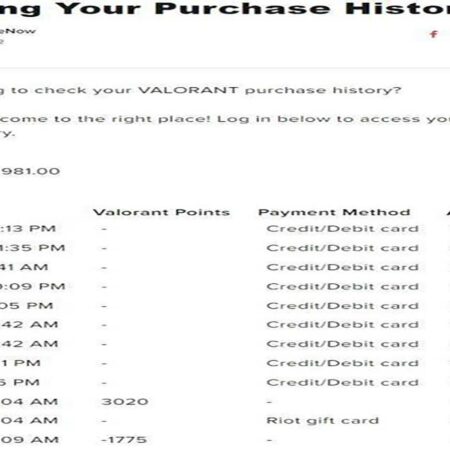 Check Valorant Spending History