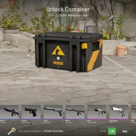 Counter Strike 2: Case Opening Stats