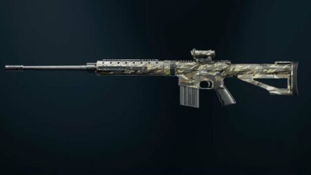 Warzone Season 1: Best DM-10 Loadout