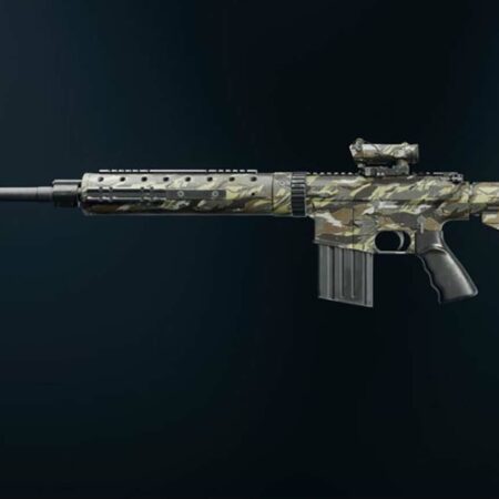 Warzone Season 1: Best DM-10 Loadout