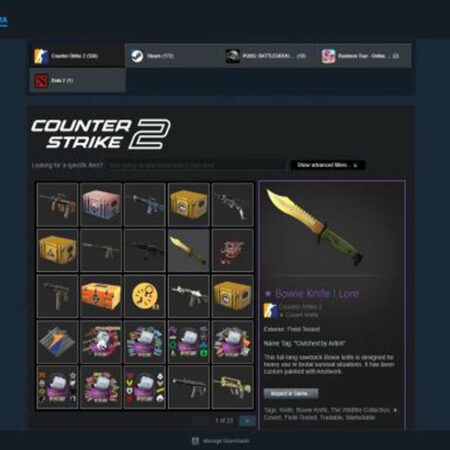 How to Check CS2 Inventory Value Easily