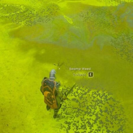 RuneScape Dragonwilds: How to Get Swamp Weed Thread