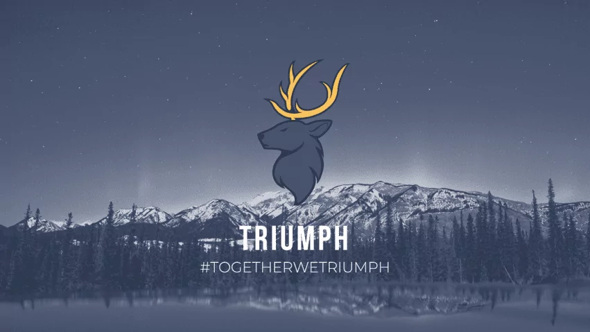 Triumph Gaming
