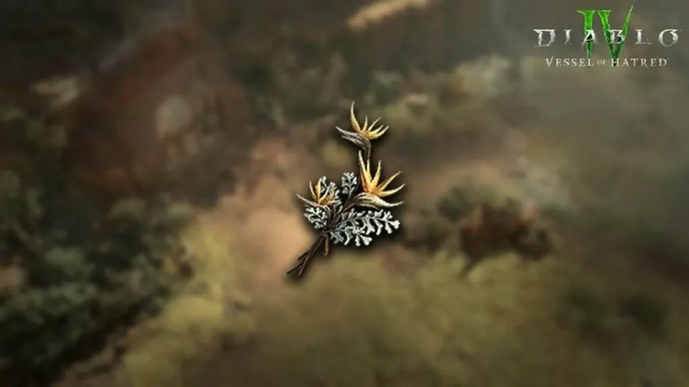 Diablo 4 Vessel of Hatred: Angelbreath