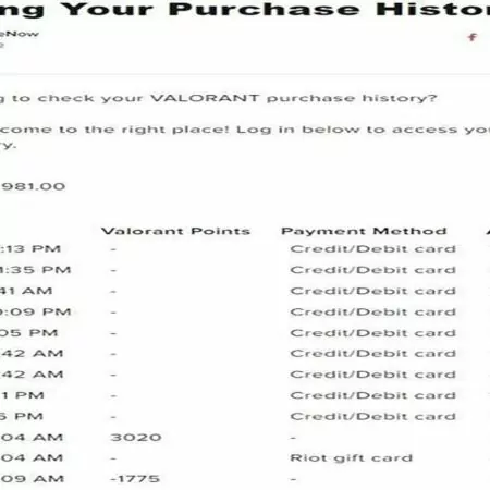 Check Valorant Spending History