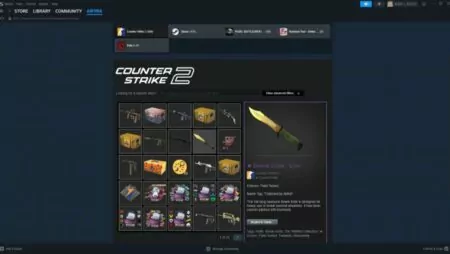How to Check CS2 Inventory Value Easily