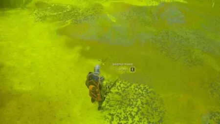 RuneScape Dragonwilds: How to Get Swamp Weed Thread