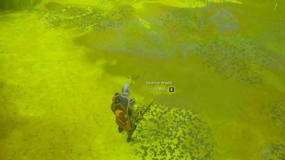 RuneScape Dragonwilds: How to Get Swamp Weed Thread